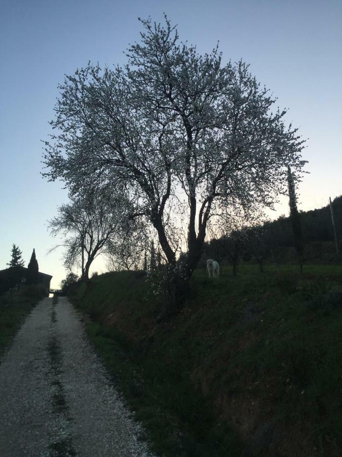 Podere Baloo סוברטו מראה חיצוני תמונה