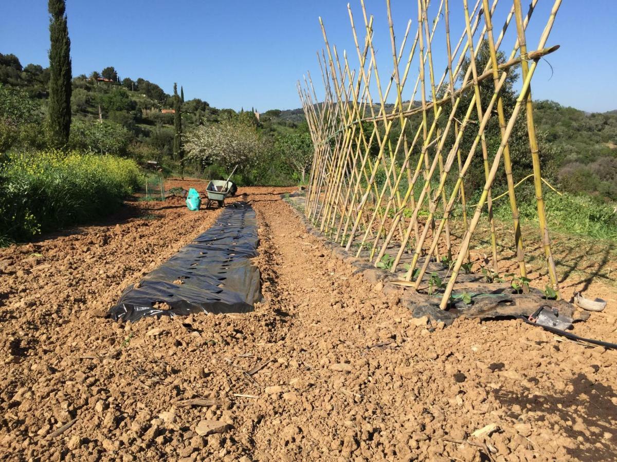 Podere Baloo סוברטו מראה חיצוני תמונה